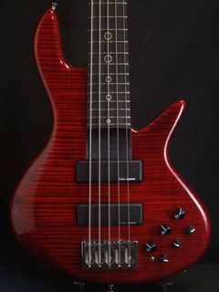 Otomania.net（おとまにあどっとねっと） > [Bass] Xotic XB-2(5
