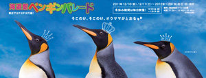 海遊館 - ペンギンパレード